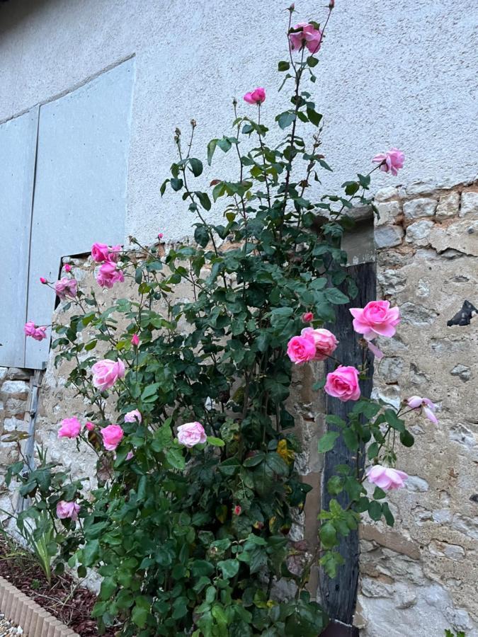 Gite Laurymoor - Normandie Acquigny Exterior foto